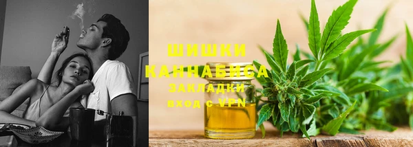 молекула духа Ладушкин