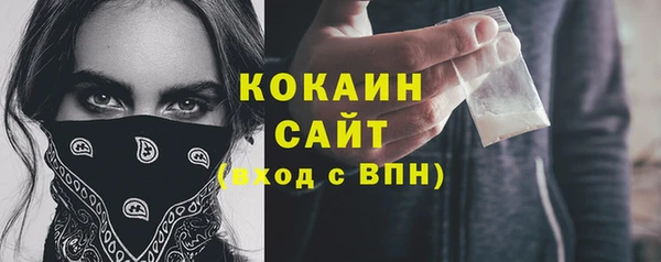 молекула духа Ладушкин
