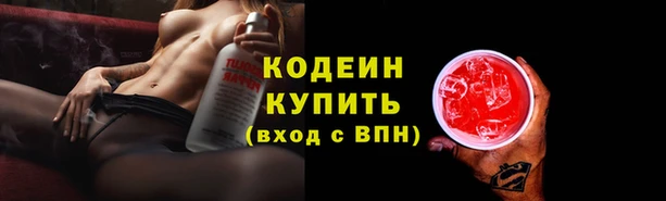 молекула духа Ладушкин