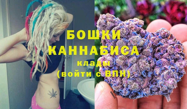 молекула духа Ладушкин