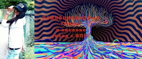 mdma Лагань