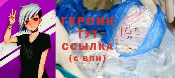 молекула духа Ладушкин