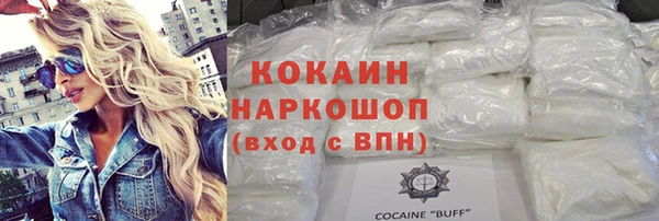 молекула духа Ладушкин