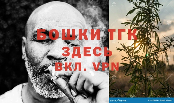молекула духа Ладушкин