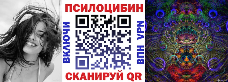 OMG ссылки  Томилино  Псилоцибиновые грибы мицелий 