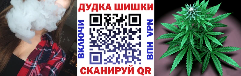 Конопля гибрид  Томилино 